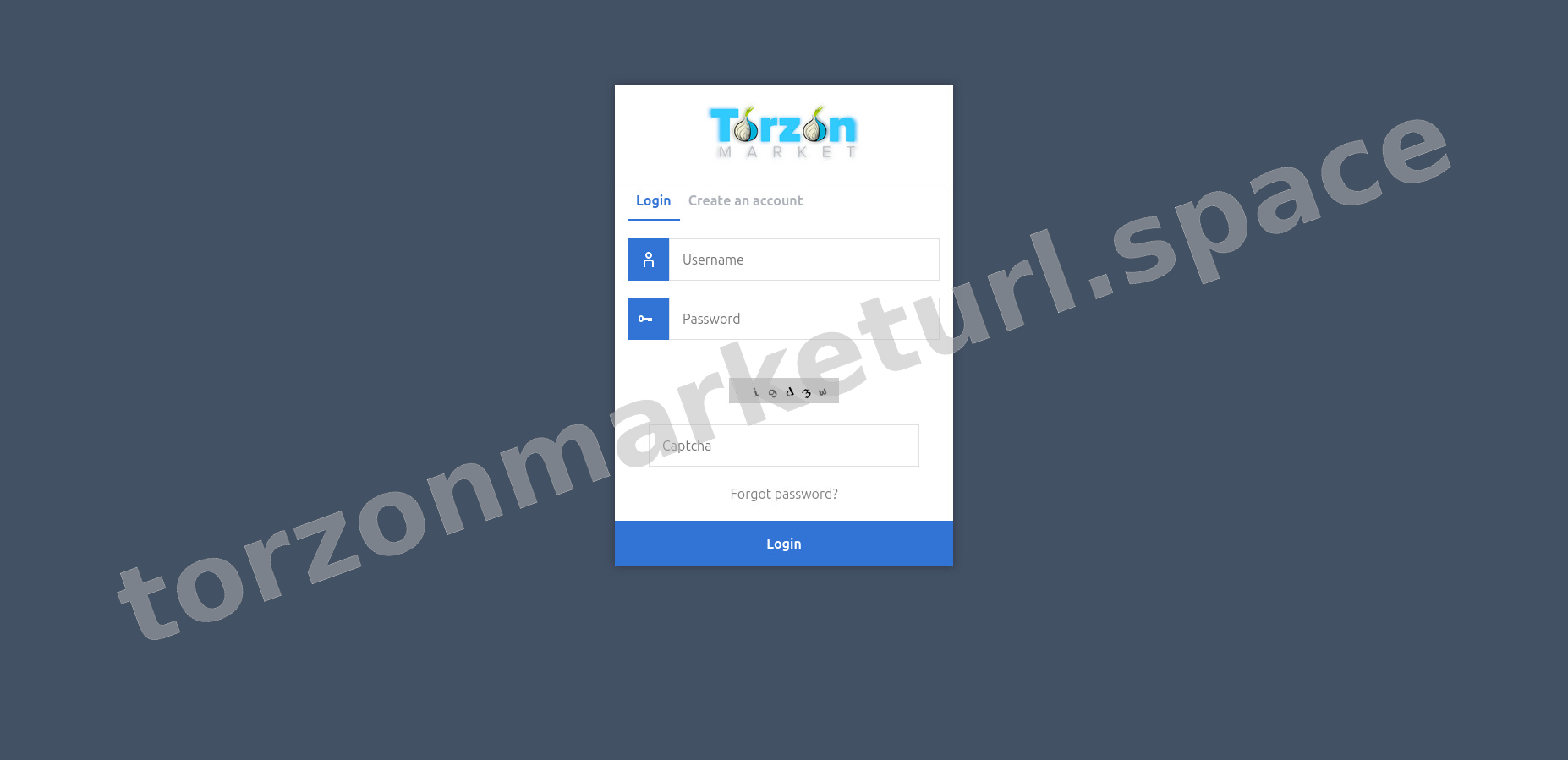 User Login Interface